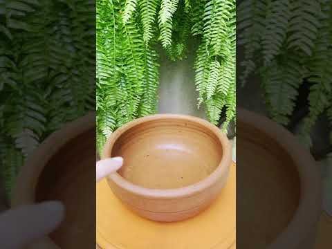 ð§ Como Fazer uma Fonte de Água com Vasos: Passo a Passo ð¿